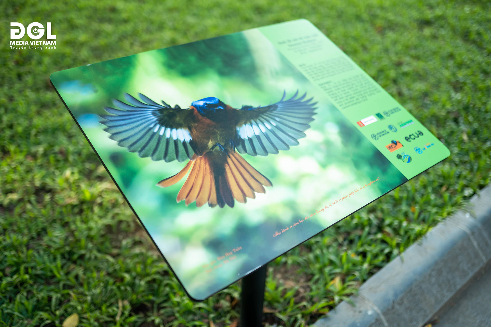 Triển lãm ảnh: 'Hà Nội đất lành chim đậu'