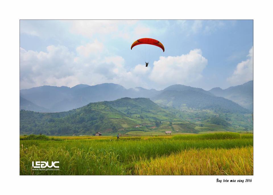 TCCB VIETCOMBANK VỀ VỚI MÙA VÀNG