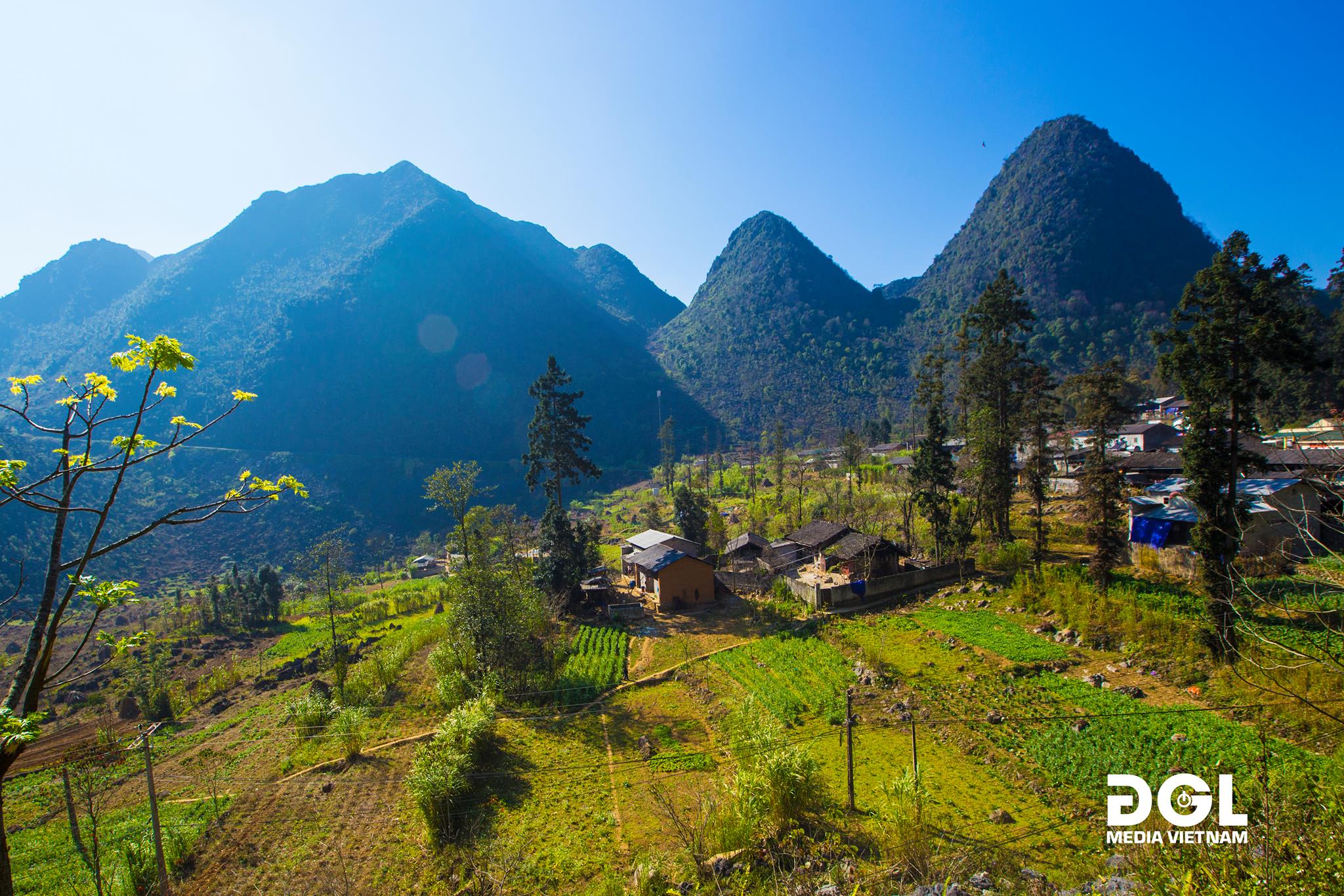 51922883-850450925294012-2970779748512301056-o