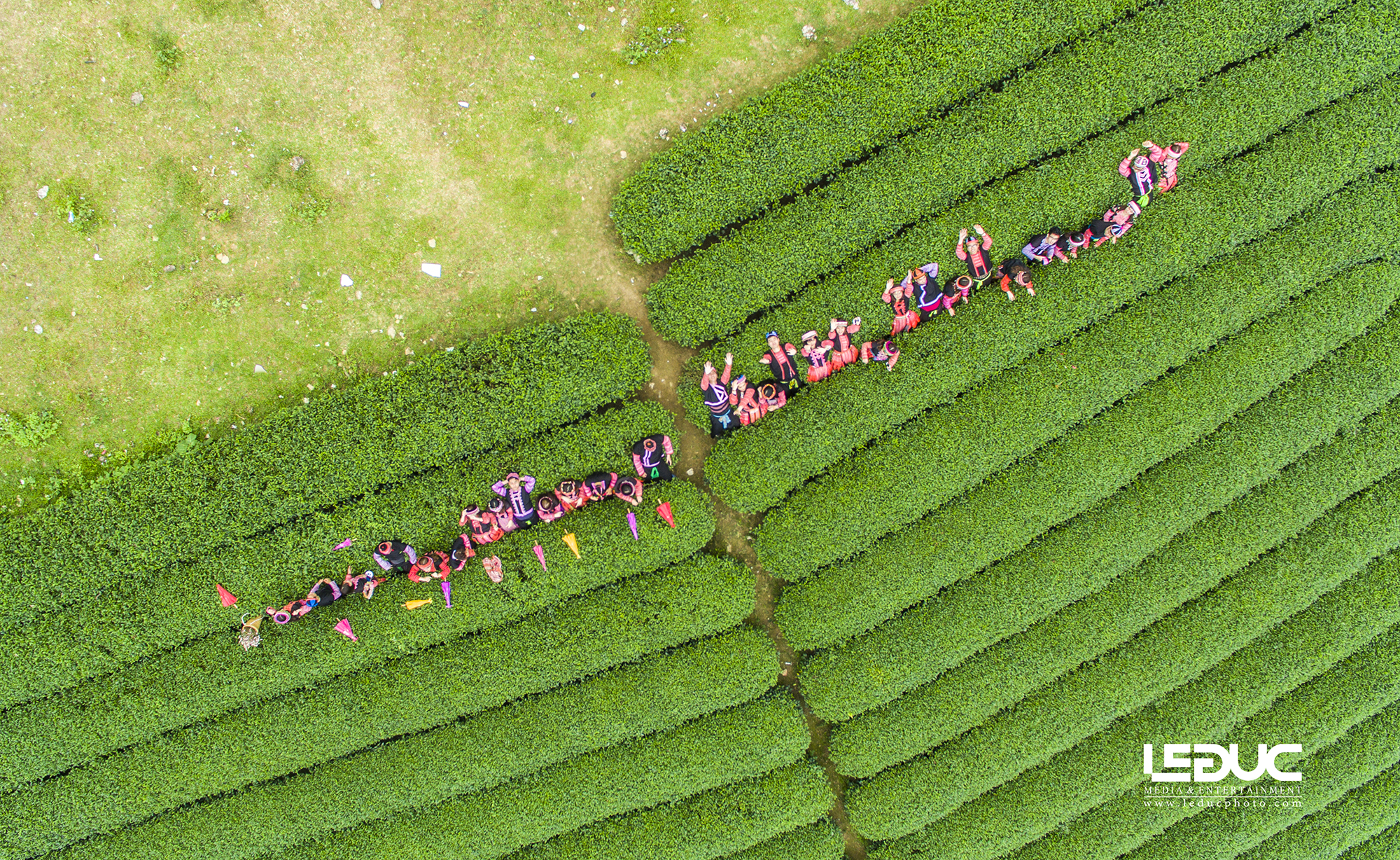 du kh&aacute;ch đang đắm ch&igrave;m tr&ecirc;n một mảnh ruộng đồi tr&egrave;